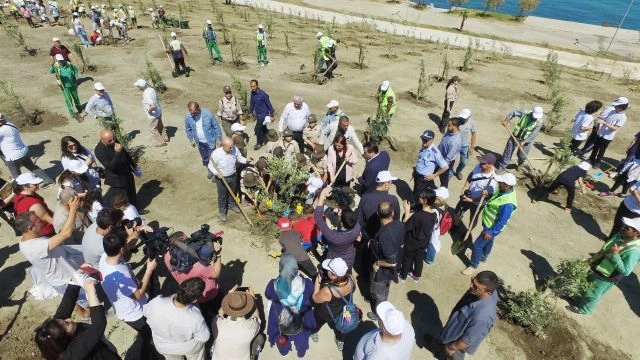 1001 zeytin ağacı 1001 çocuğumuza hediye