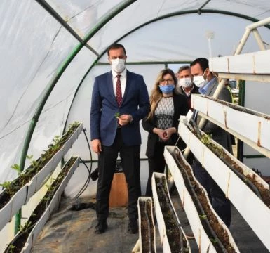 Silivri Belediyesi 15 bin adet atalık fide üretti