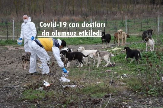 Covid-19 can dostları da olumsuz etkiledi